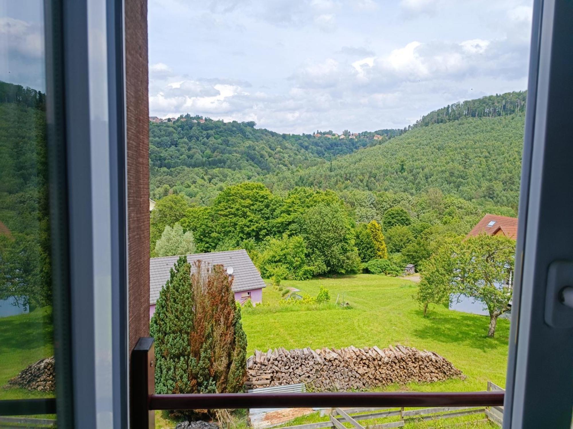 Le Petit Schaef - Proche Rocher De Dabo Apartment ภายนอก รูปภาพ